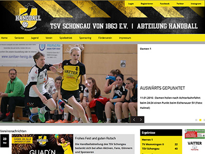 Homepage TSV Schongau Handball